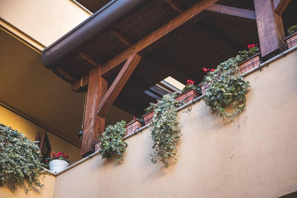 La Corte Apartment Monza - Milano + Free Wi-Fi Lissone Exterior foto